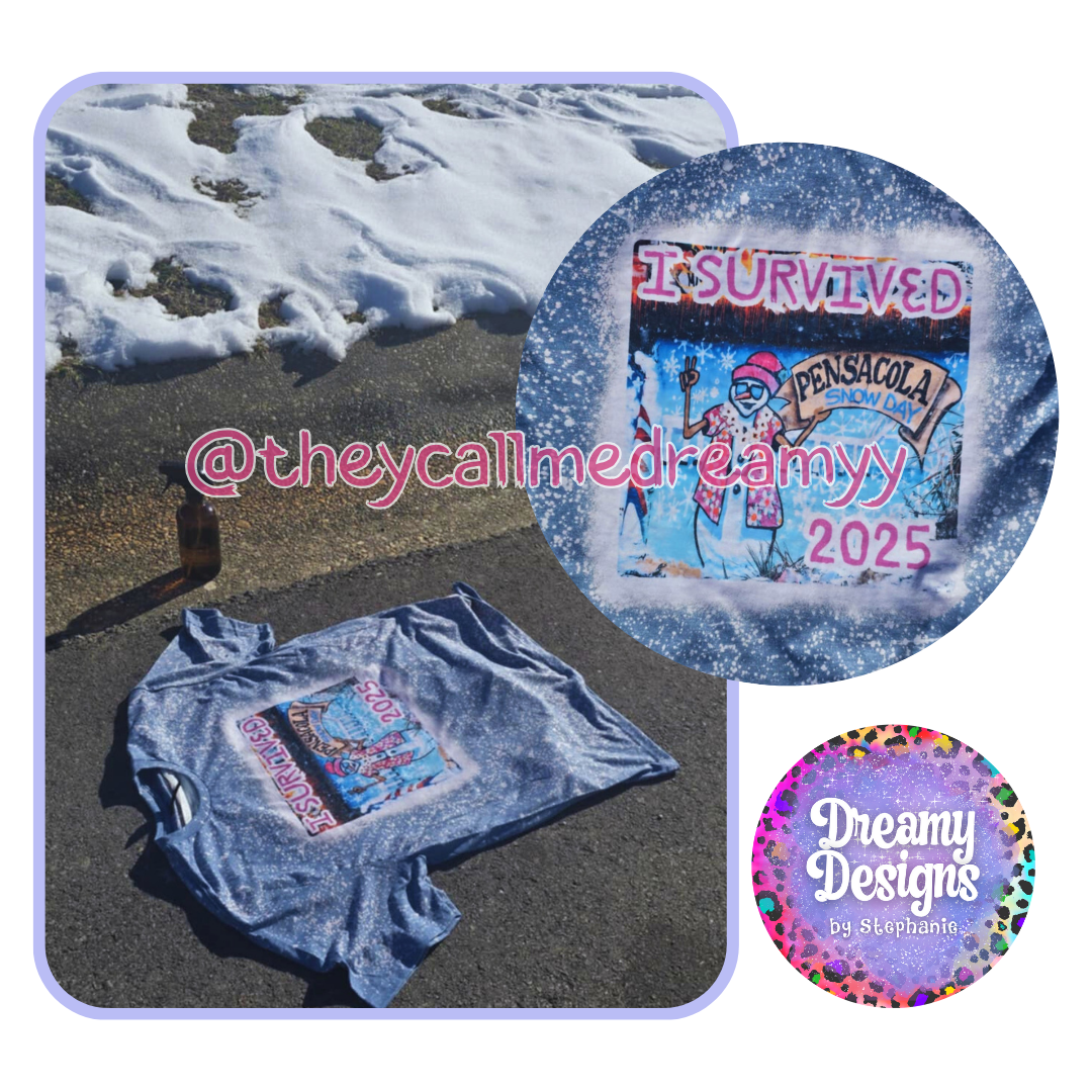 I SURVIVED PENSACOLA SNOWDAY 2025 - FREE SHIPPING