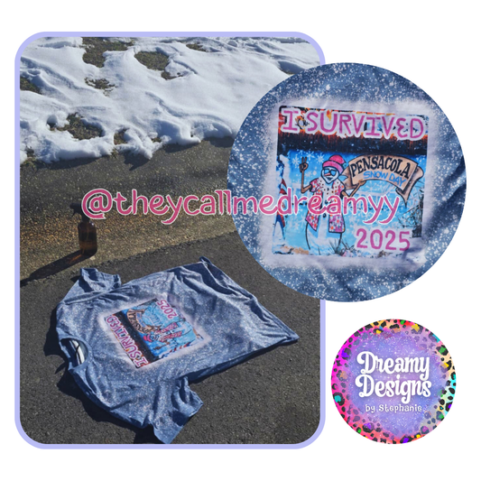 I SURVIVED PENSACOLA SNOWDAY 2025 - FREE SHIPPING