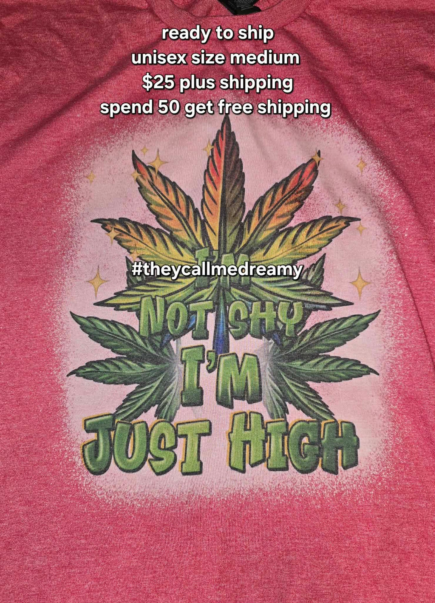 Not Shy I'm Just High - RTS