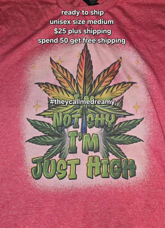 Not Shy I'm Just High - RTS